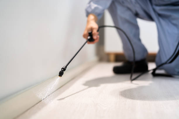 Licensed Rodent Control service in Chippewa County County, WI - Nex Pest Control